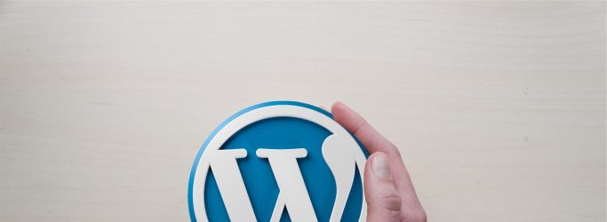 best wordpress backup plugin